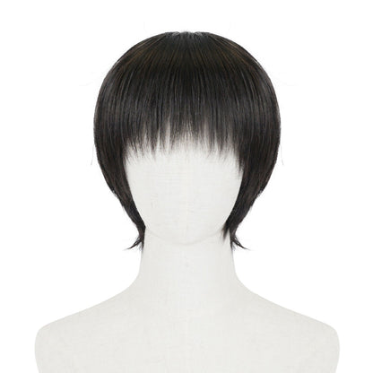 Cosplay Perücke von Levi Ackerman für Attack on Titan Fans, Schwarz