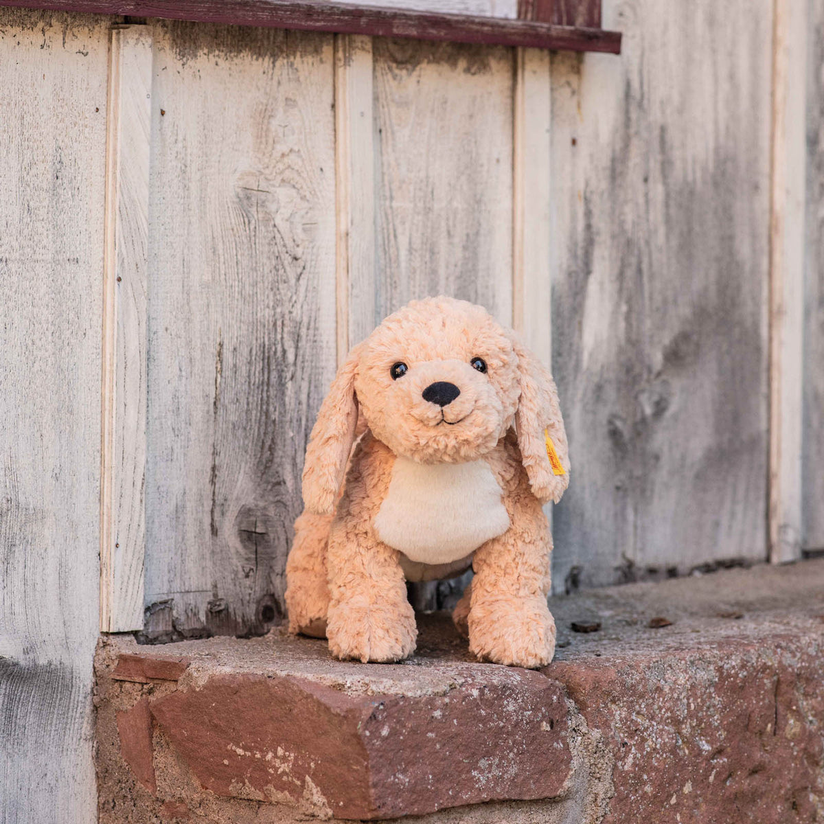 Steiff Berno Goldendoodle mit langen Ohren | Plüschfigur | 36 cm