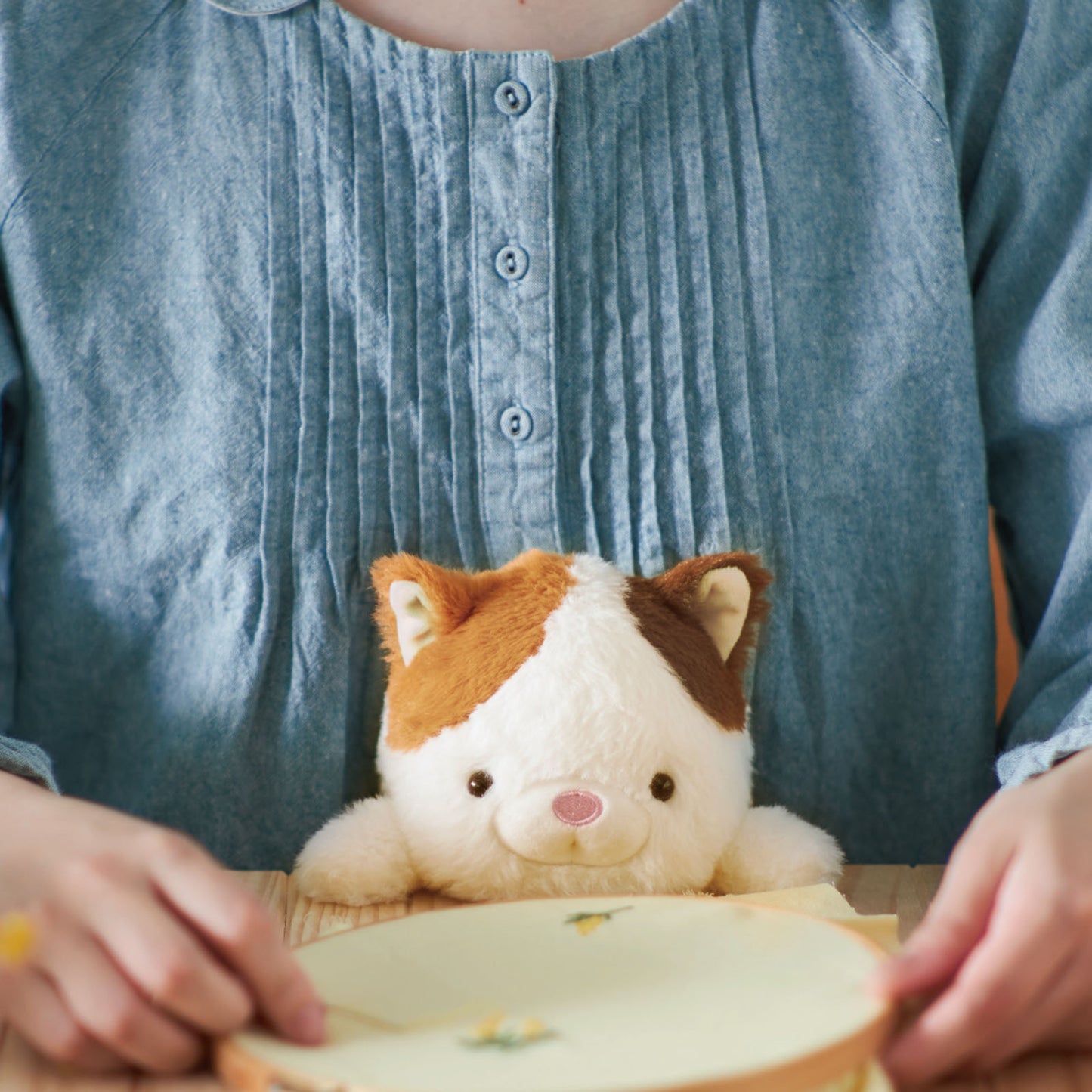 Funbaruz - Calico Cat (Glückskatze) - Posture Pal Ergonomische Plüschfigur - Dreams