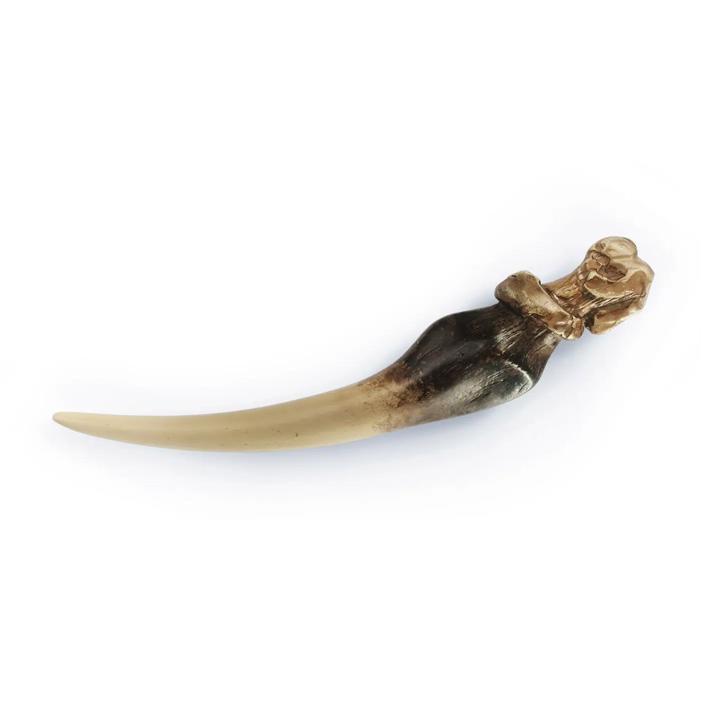 Harry Potter - Tom Riddles Tagebuch mit Basiliskenzahn - 1:1 Prop-Replik - 23 cm - The Noble Collection