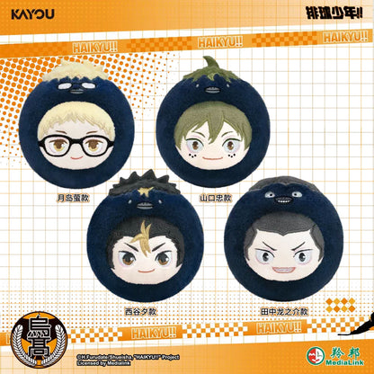 Haikyu!! - Ball Crow Serie Plüsch-Anhänger Blind Box - Einzelbox - 10cm - Kayou / MediaLink