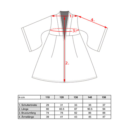 Mulan - Traditionelles Hanfu Kleid - Kinderkostüm mit Gürtel - Gr. 110-150