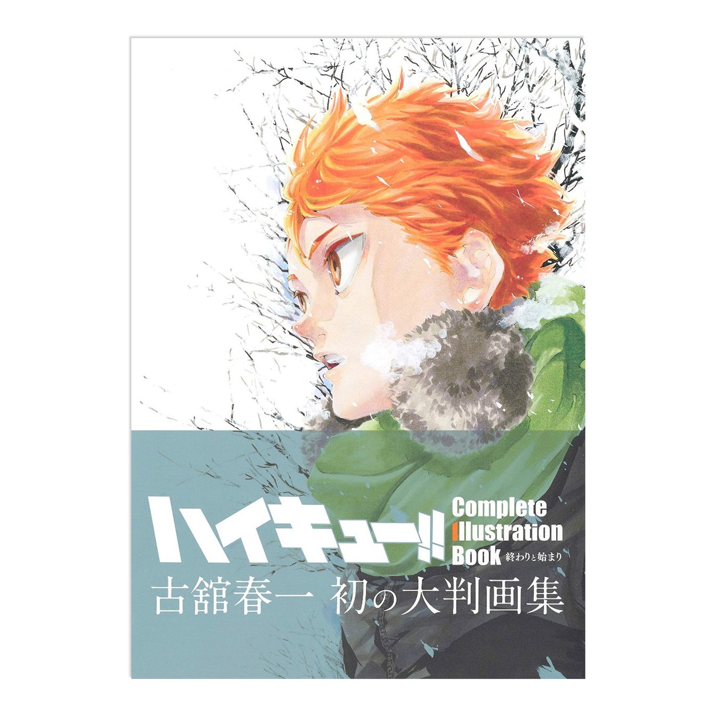 Haikyu Artbook